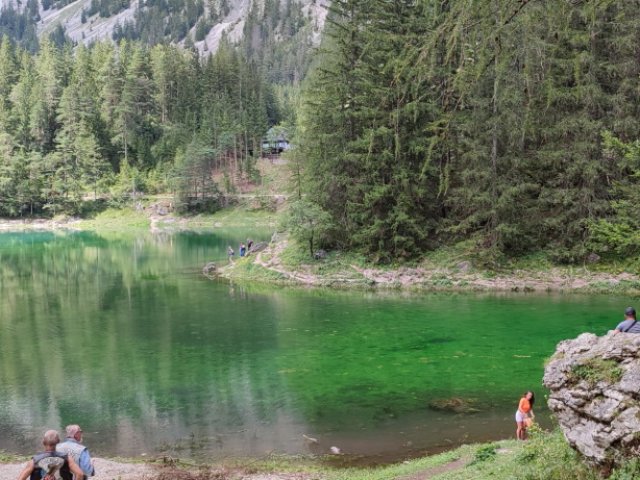 Ausfahrt Grüner See