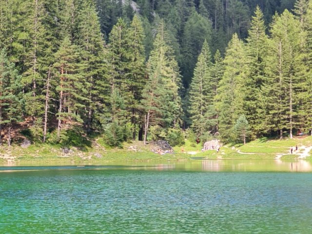 Ausfahrt Grüner See