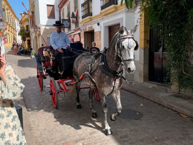 Anadalusien Tour 2026