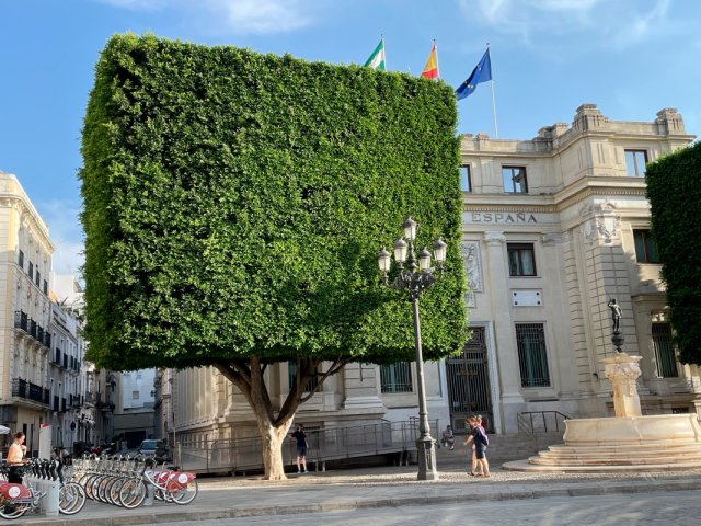 Anadalusien Tour 2026