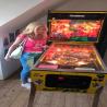 images/phocagallery/2026bildarchiv/2026flippern/flippern-_048.jpg