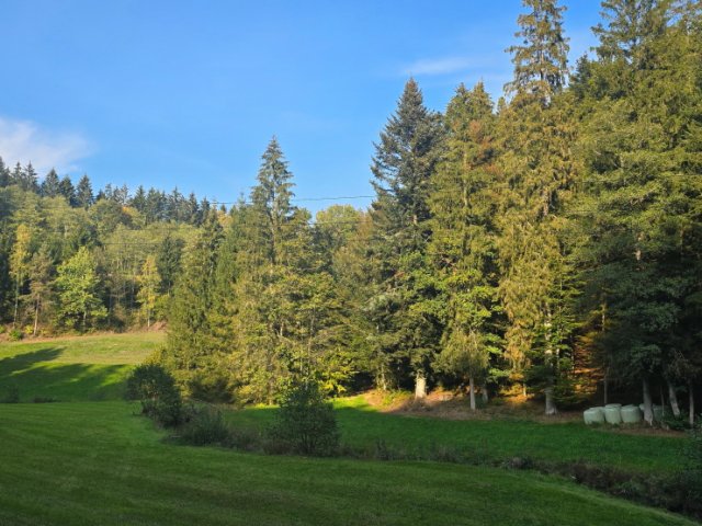 Mühlvierteltour