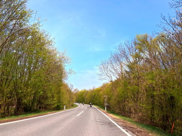 Season Opening